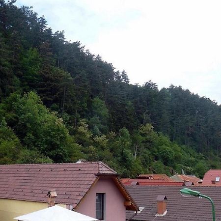 Villa Casa Regal Brașov Exterior foto
