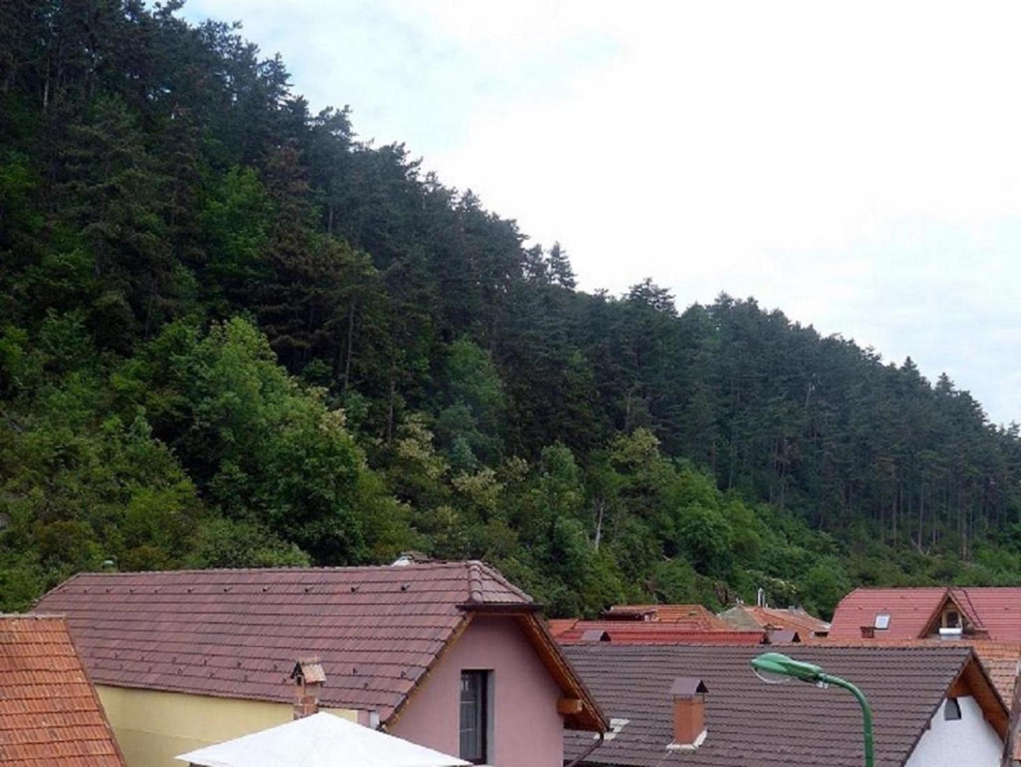 Villa Casa Regal Brașov Exterior foto